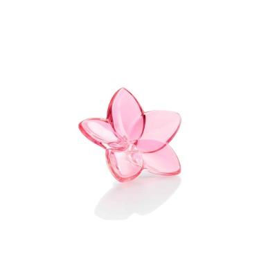 Fiore The Bloom Collection Rosa [98c881ce]