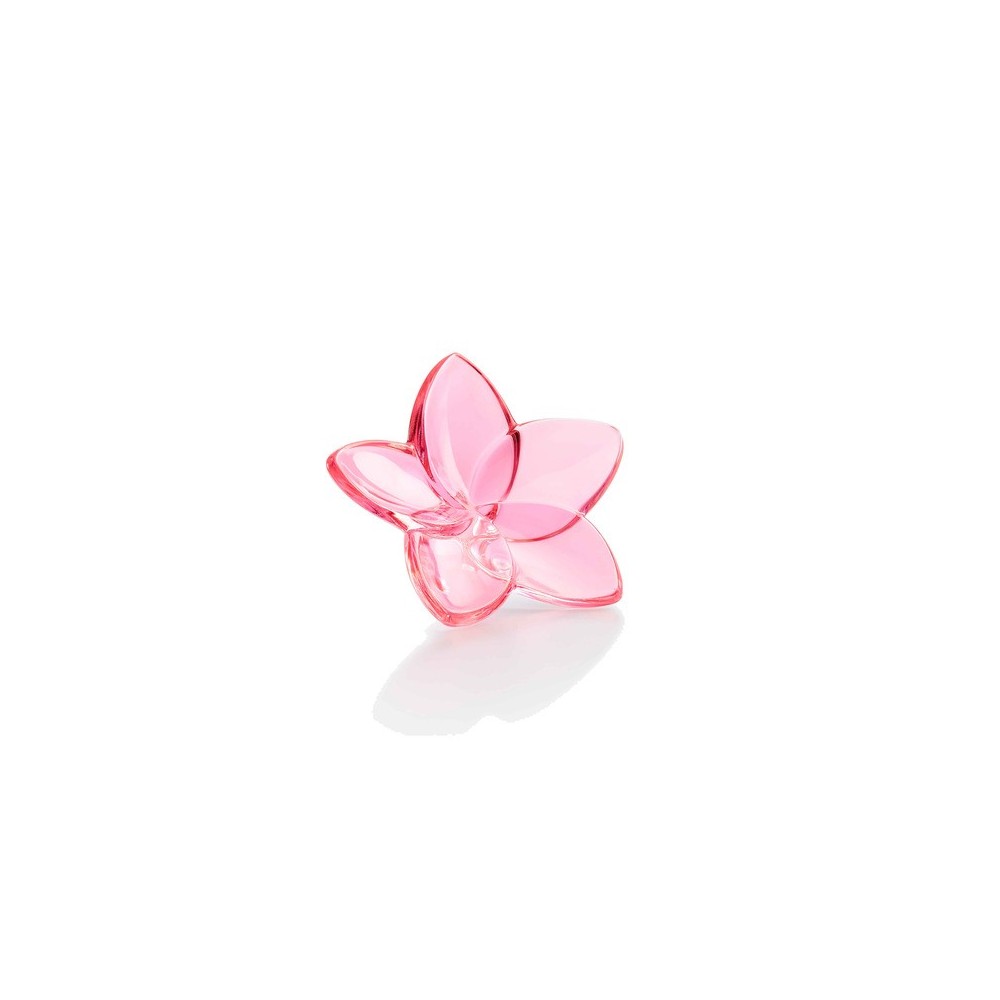 Fiore The Bloom Collection Rosa [98c881ce]