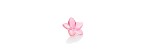 Fiore The Bloom Collection Rosa [98c881ce]