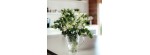 Brocca Boston [88997607]