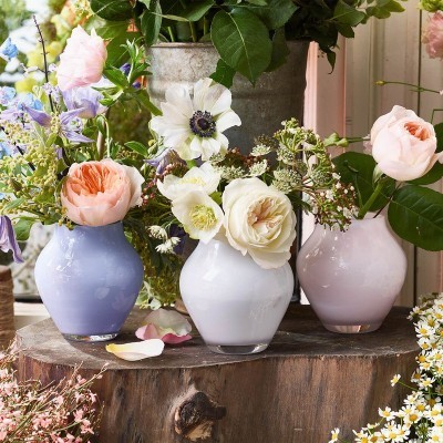Vaso mini Arctic Breeze Oronda [19a4ca64]