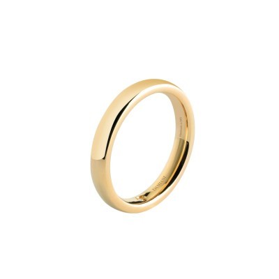 Anello Noi2 [1966dc24]