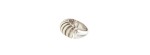 Anello Ellipse in Oro Bianco [46c6d8c2]