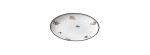 Piatto piano cm 27 Arcadia bianco [e68efb76]