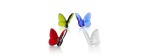 Farfalla Portafortuna Diamond Trasparente [650af021]