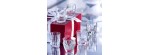 Set 6 bicchieri Everyday les Minis [300e0de1]