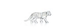 Baccarat Tigre Zodiaco 2022 [d12cbcb5]