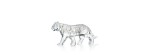 Baccarat Tigre Zodiaco 2022 [080affb8]