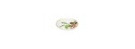 Coppetta Passifolia 10 cm [56c9d046]