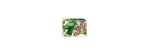 Vassoietto Piccolo  Orchidée  Passifolia 16x12cm [37afb8a3]
