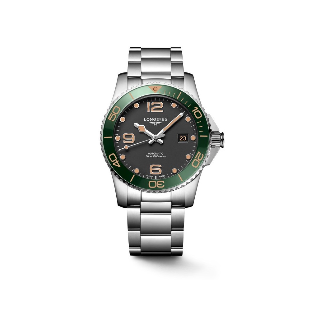 Orologio HydroConquest 41mm [11134e10]