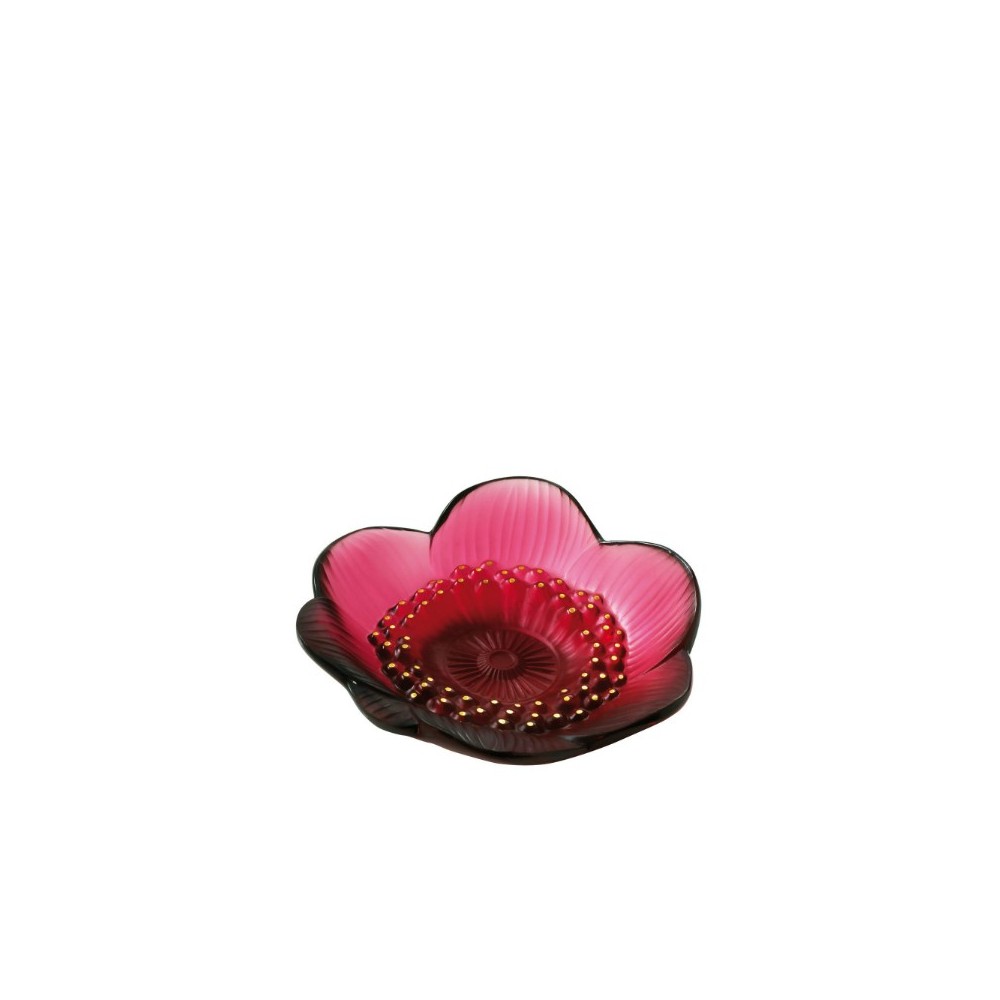 Coppetta Anemone Rossa [eece5ac5]