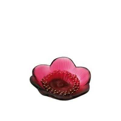 Coppetta Anemone Rossa [eece5ac5]
