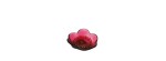 Coppetta Anemone Rossa [eece5ac5]