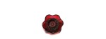 Coppetta Anemone Rossa [a2082f0e]