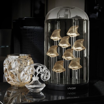 Pesce Luster Oro [dbb7b1b3]