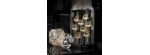 Pesce Luster Oro [dbb7b1b3]