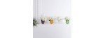 Vaso Pivoines Ambra [0d5cc31b]
