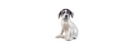 Statuina Cucciolo di Pointer Royal Copenhagen [7835ab9f]