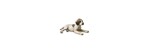 Statuina Cucciolo di Pointer Royal Copenhagen [1cb3fd75]