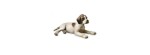 Statuina Cucciolo di Pointer Royal Copenhagen [c595be78]
