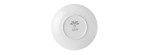 Piatto decorativo cm 27 Fox Thicket [6578002a]