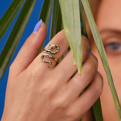 Anello Serpente [a8379ee4]