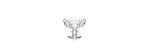 Coppa Harcourt Tulipe [bc707a01]