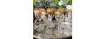 Bicchiere acqua Massenet Gold [7f1f9d67]