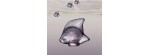 Pesce cristallo viola crepuscolo [ec9915c0]