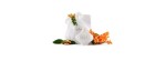 Vaso 8 cm Weiss Plissee [a1c87558]
