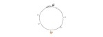 Bracciale Farfalla Be Happy 9kt [e0f926a3]