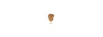 Anello Allegro Ottone Miele [99372989]