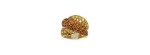 Anello Gomitolo in Oro Giallo [b2e91502]