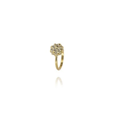Anello Mirtillo Ottone Grigiosole [181f3159]