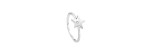 Anello I Segni Stella in oro bianco 9kt [8c79b968]