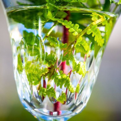 Calice Acqua Stella N. 2 [e1f56f8f]