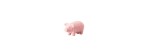 Maiale piccolo Rosenthal Rosé Pets [2858118c]