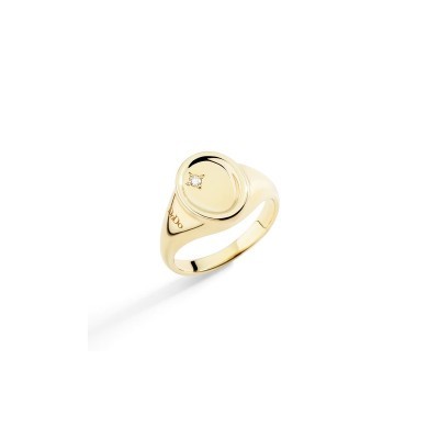 Anello Sigillo oro giallo 9kt e diamante [46255ba6]