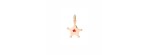 Charm Stella Oro rosa 9kt [784f35c9]
