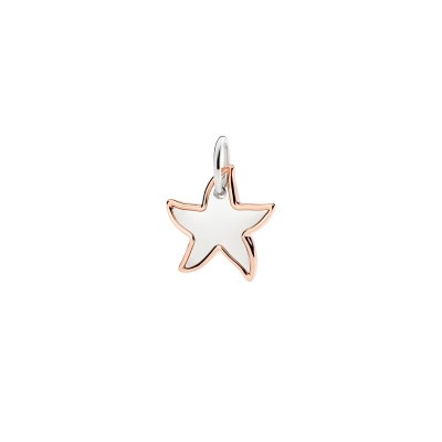 Ciondolo XL Stellina Argento & Oro rosa [cc22a11c]