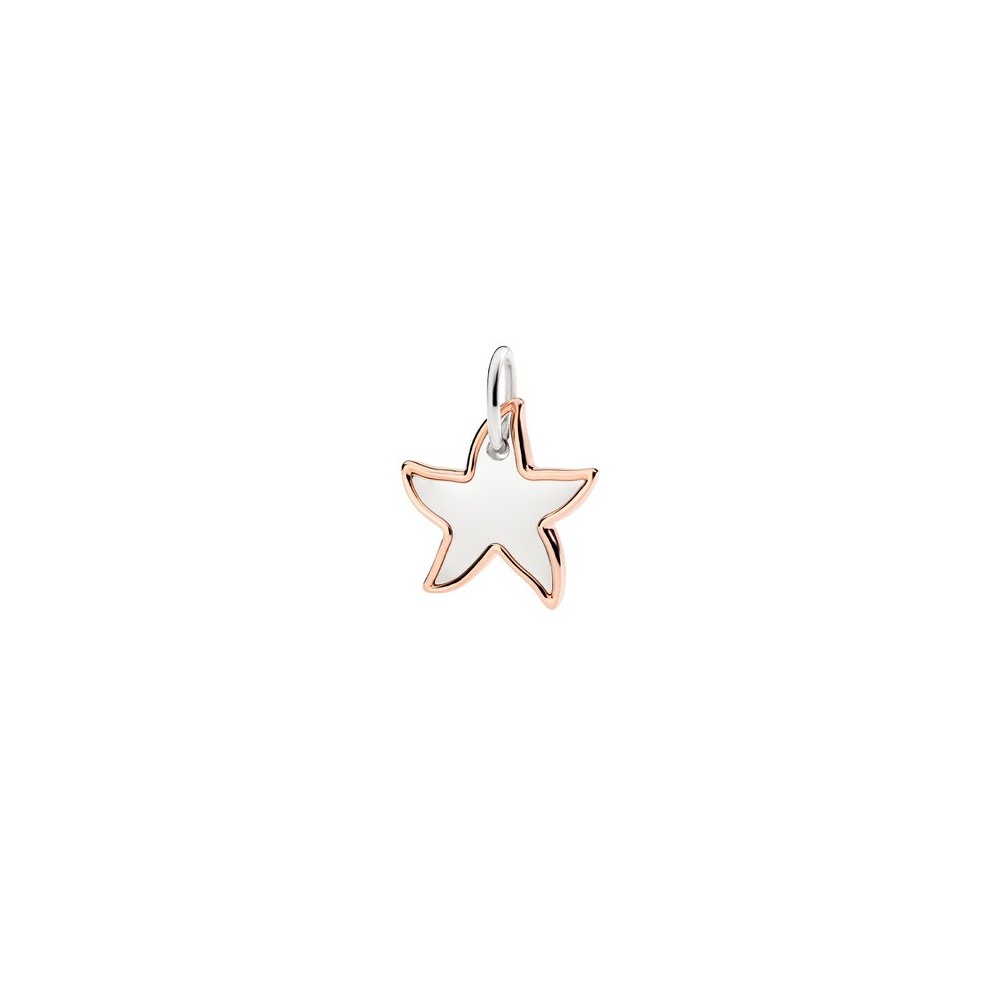 Ciondolo XL Stellina Argento & Oro rosa [cc22a11c]