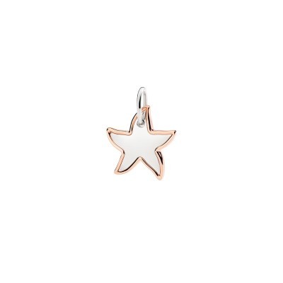 Ciondolo XL Stellina Argento & Oro rosa [cc22a11c]