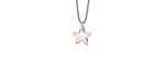 Ciondolo XL Stellina Argento & Oro rosa [1504e211]