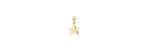 Charm Stellina oro giallo 9kt e diamante [ef9889ff]