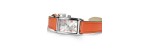 Hamilton American Classic Ardmore Quartz [7833c157]