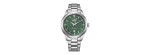 Citizen Day Date Eco-Drive Verde 40,5mm [696e04a2]