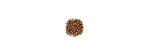 Anello Riccio Ottone Miele [e360012e]
