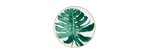 Piatto piano  Passifolia n°1  Philodendron  27cm [1d87f551]