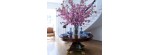 Vaso Baccarat Celimene M [dd48fda1]